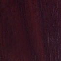 Jacaranda